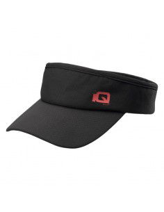 IQ Intelligence Quality...