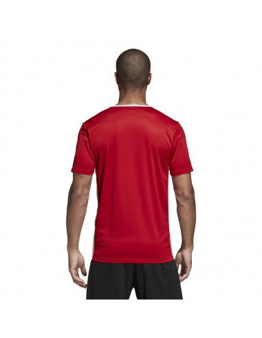 Adidas Entrada 18 CF1038 football jersey