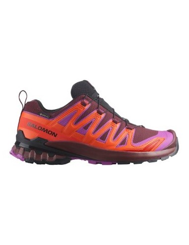  Salomon XA Pro 3D v9 GTX W L47961900 2025