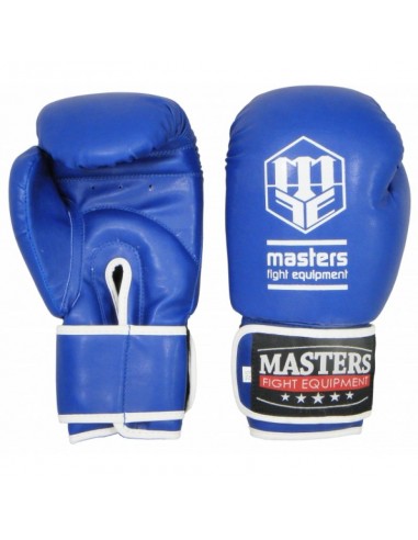 Masters boxing gloves RPU3 01401002