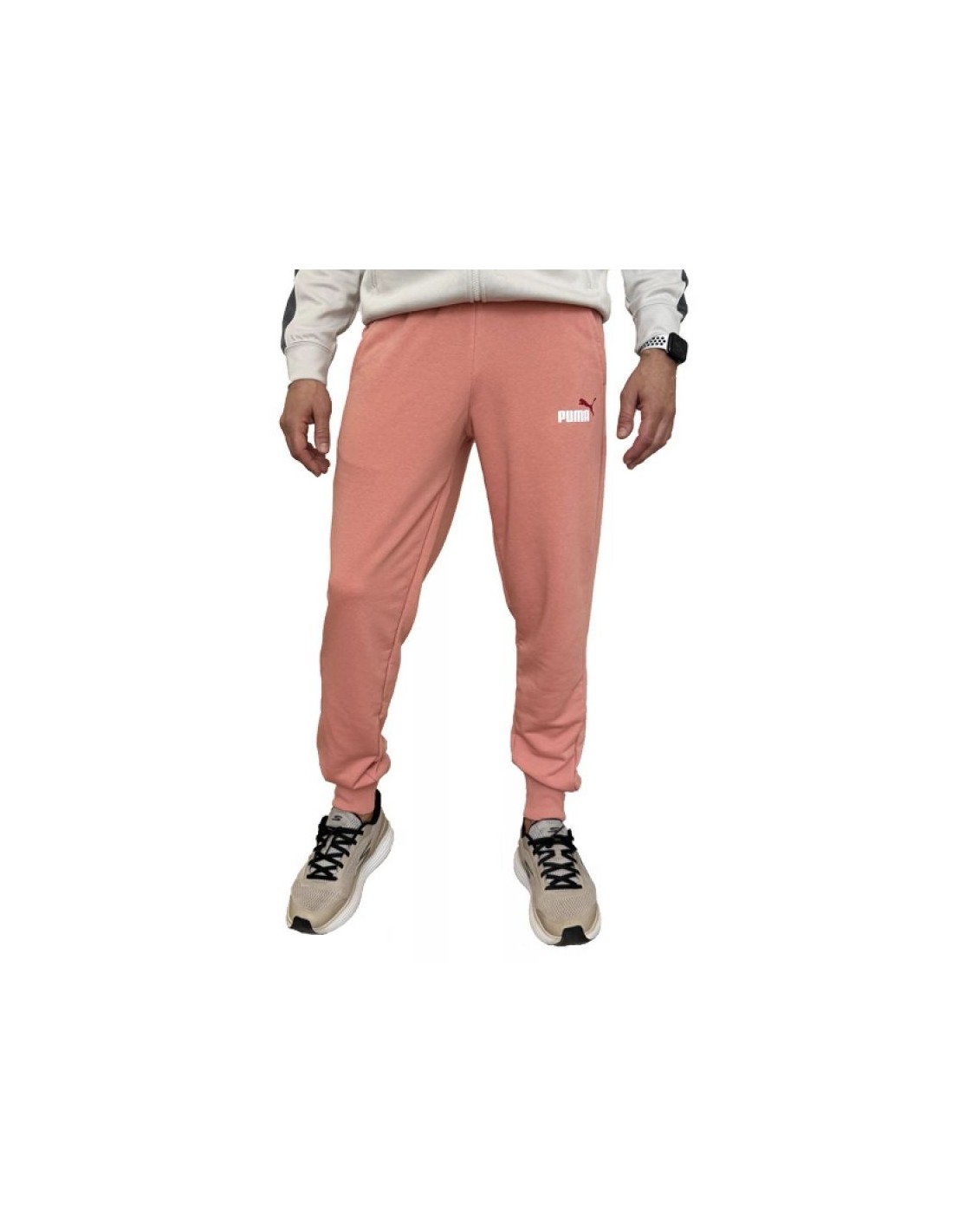 Puma Ess 2 Col Logo Pants M 586768 62