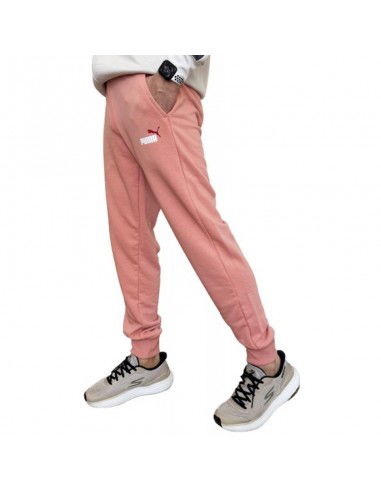 Puma Ess 2 Col Logo Pants M 586768 62
