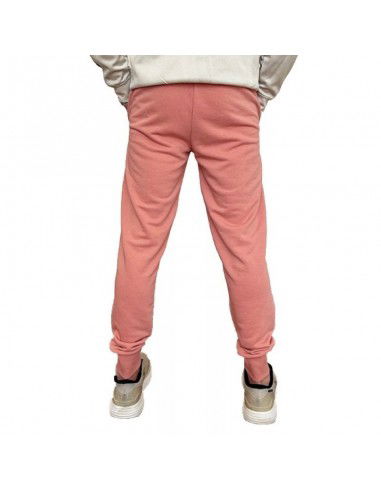 Puma Ess 2 Col Logo Pants M 586768 62