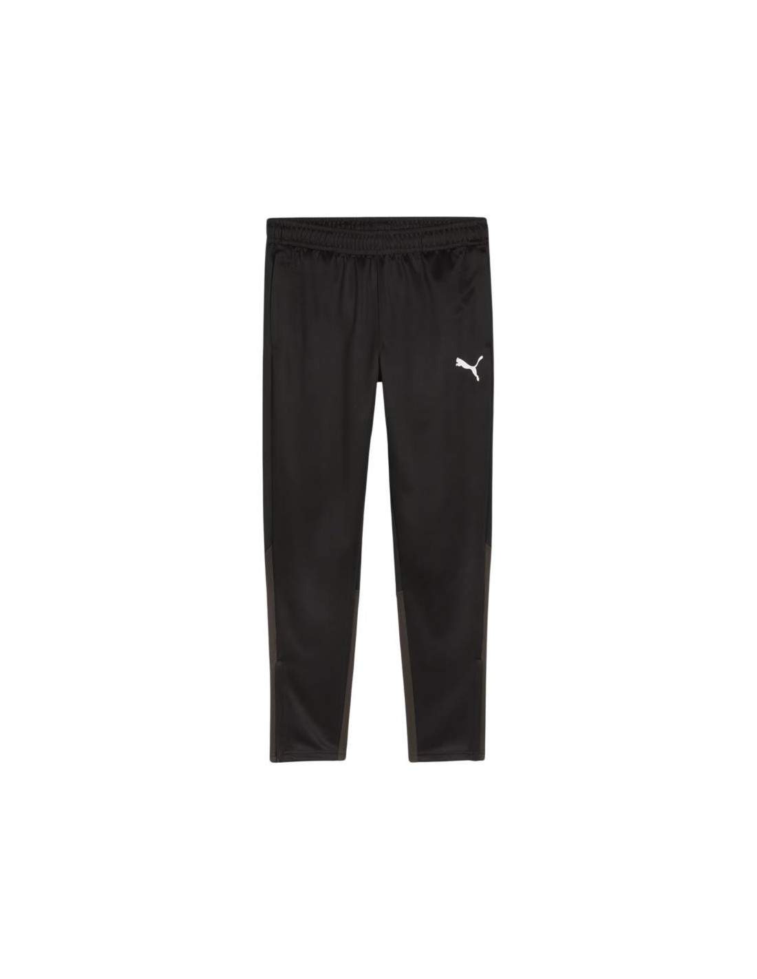 Puma Team Goal Training Pants M 658639 03