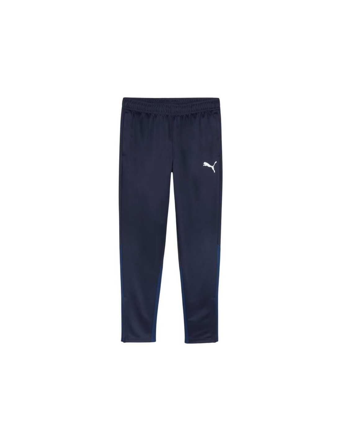 Puma Team Goal Training Pants M 658639 06