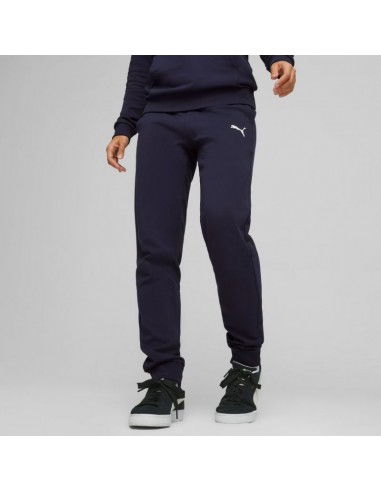 Puma Team Goal Casuals Pants W 658604 06