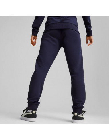 Puma Team Goal Casuals Pants W 658604 06