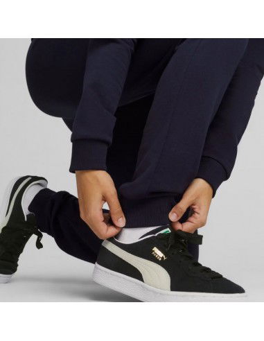 Puma Team Goal Casuals Pants W 658604 06