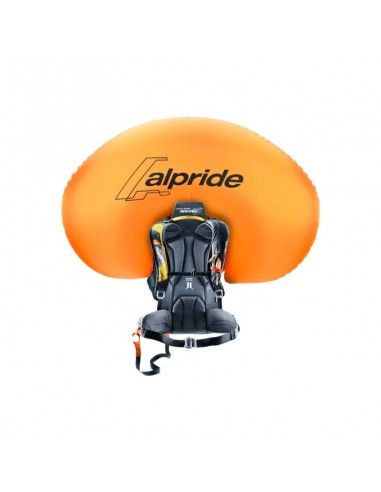 Deuter Alproof Lite 22 Avalanche Backpack TurmericBlack
