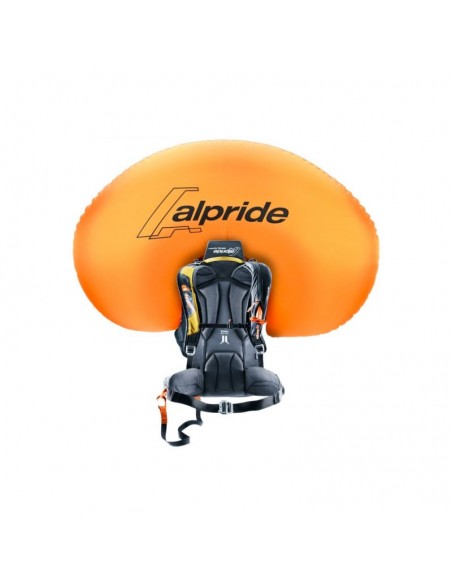 Deuter Alproof Lite 22 Avalanche Backpack TurmericBlack