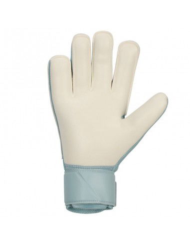 Nike Match Goalkeeper Gloves HQ0257395