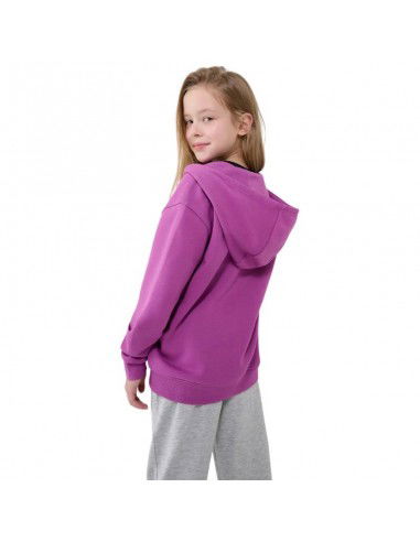 Sweatshirt 4F F1853 Jr...
