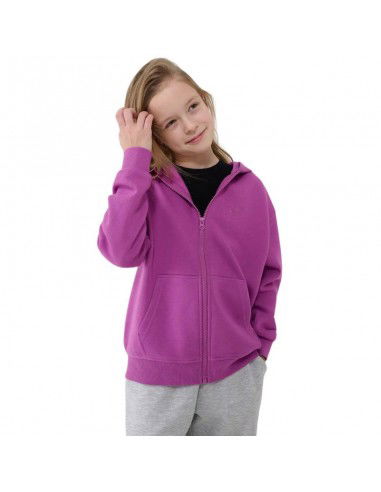 Sweatshirt 4F F1853 Jr...