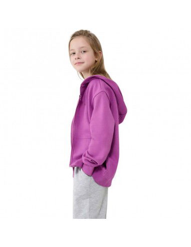 Sweatshirt 4F F1853 Jr...