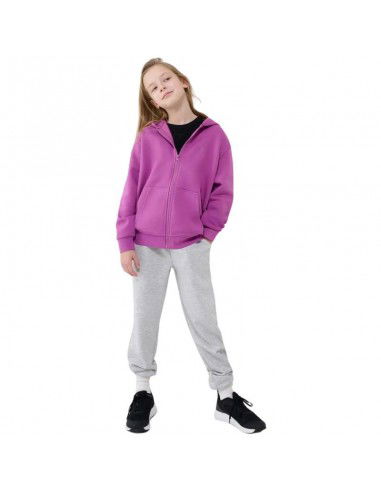 Sweatshirt 4F F1853 Jr...