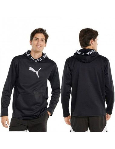 Puma Train Pwr Fleece M 520893 01...
