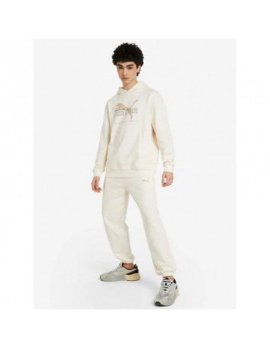 Puma FD Ess Btr M sweatshirt 673293 99