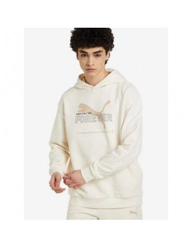 Puma FD Ess Btr M sweatshirt 673293 99