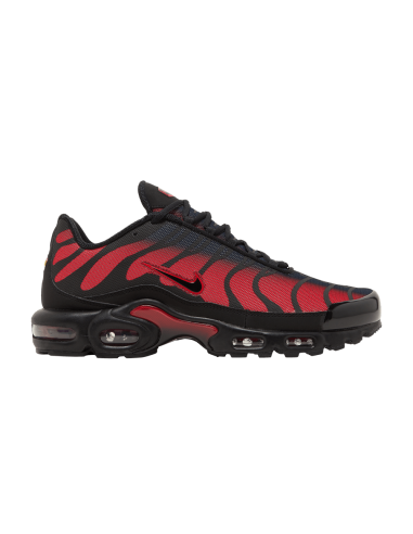 Nike Air Max Plus Bred Reflective DZ4507600 MBS