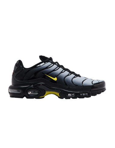Nike Air Max Plus Black Opti Yellow DM0032012 MBS