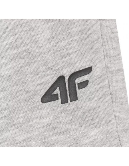 Shorts 4F CAS M543 M 4FWMM00TSHOM543 27M