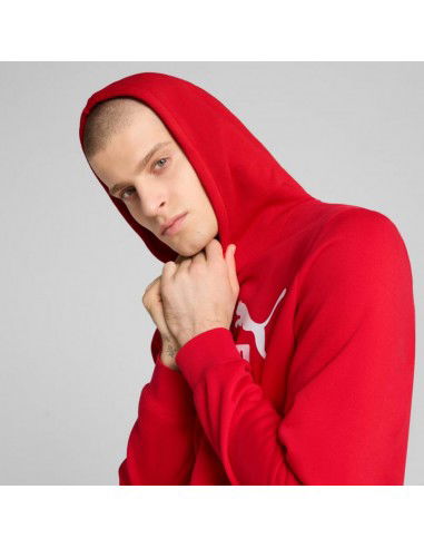 Puma ESS No1 Logo Hoodie FL M 682570 11