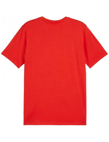 Puma Team Goal Casuals Tee M 658615 01