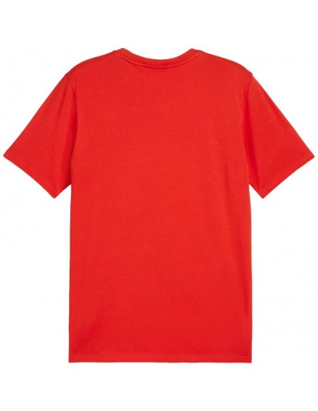 Puma Team Goal Casuals Tee M 658615 01