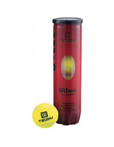 Wilson Team Practice Tennis Balls 4...