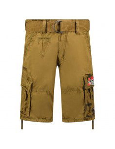 Geographical Norway...