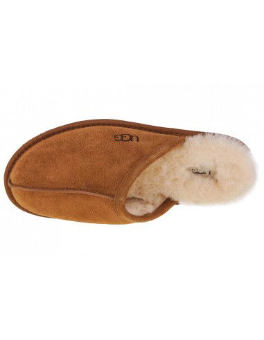 UGG Scuff Slipper 1101111CHE
