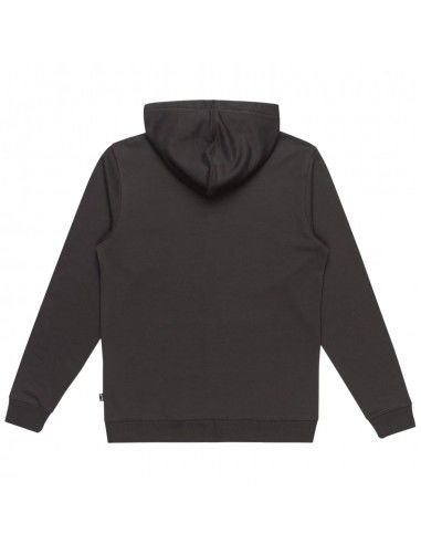 Billabong Arch Hoodie EBYFT00133RAV