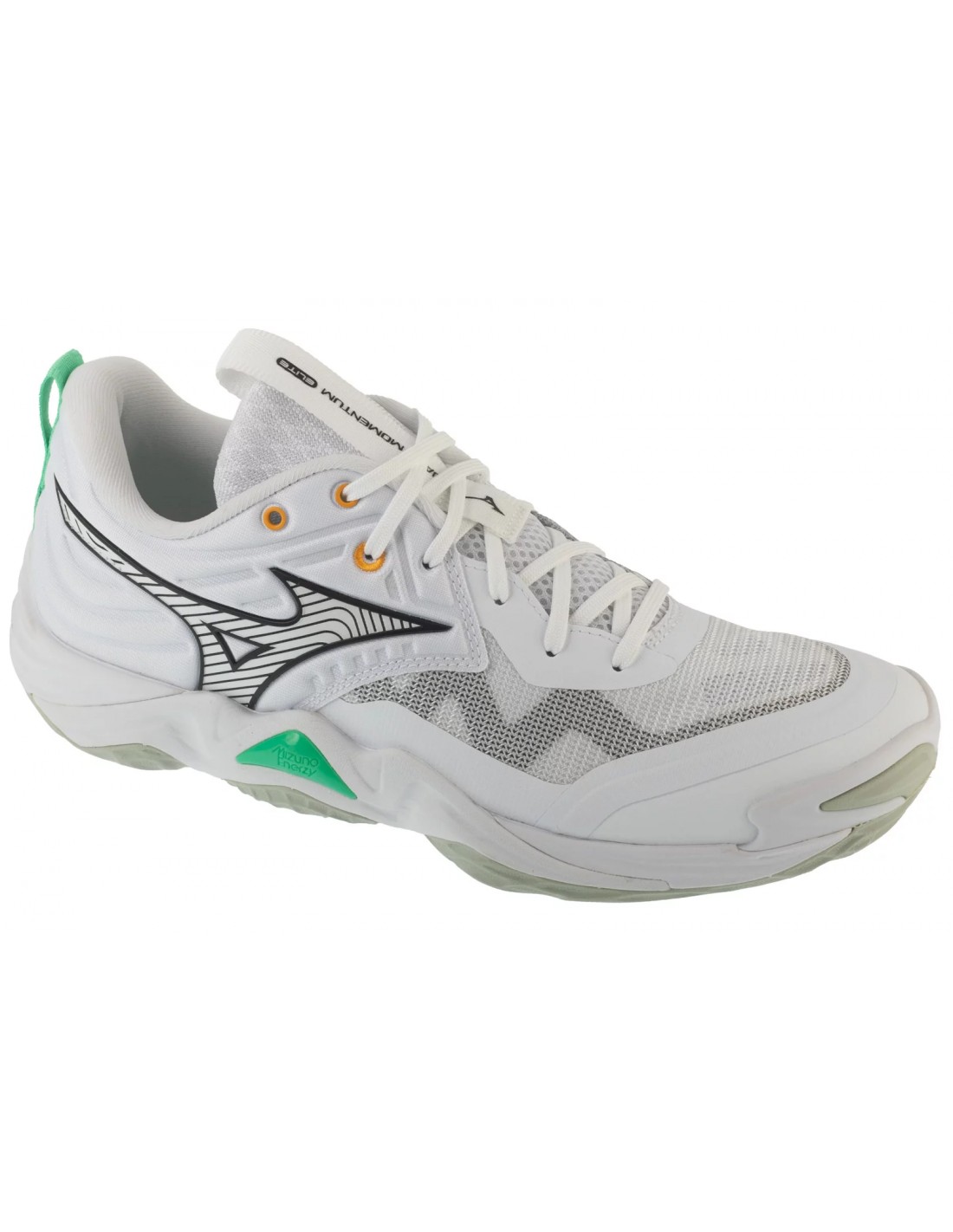 Mizuno Wave Momentum Elite V1GA251221