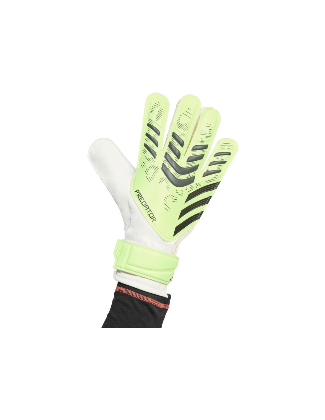 adidas Predator Training M JN5356 goalkeeper gloves