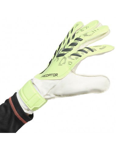 adidas Predator Training M JN5356...