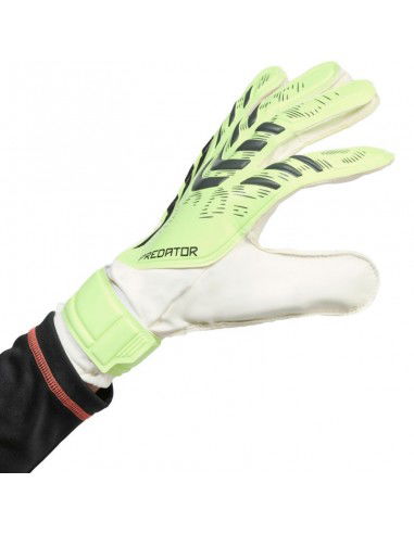 adidas Predator Training M JN5356...