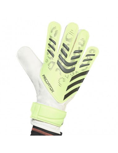 adidas Predator Training M JN5356...