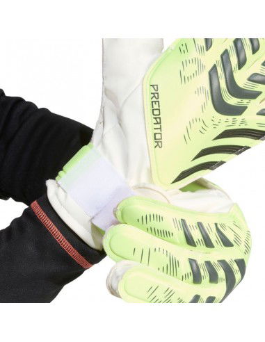 adidas Predator Training M JN5356...