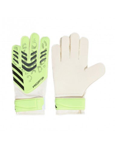 adidas Predator Training M JN5356...