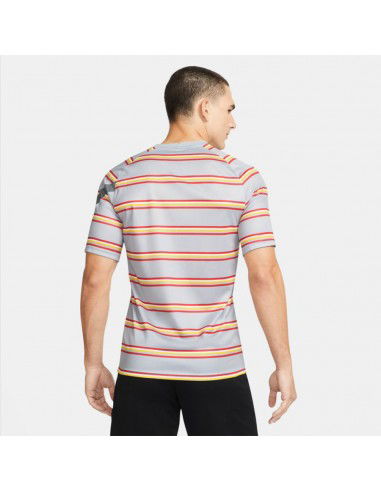 Nike Liverpool FC Tshirt DB7627 017