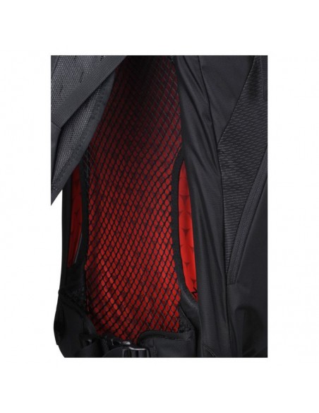 Gregory Arrio 24 Flame Black Trekking Backpack 1369747409