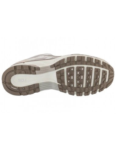 Nike W P6000 HV6353001