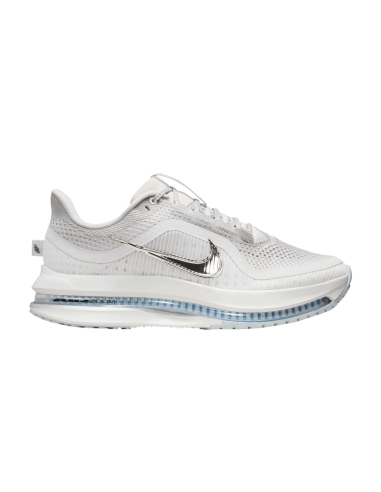 Nike Air Zoom Pegasus Premium Vast Grey Women's HQ2593005 MBS