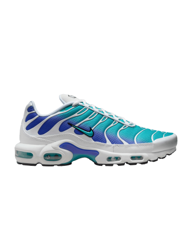 Nike Air Max Plus Aqua DM0032102 MBS