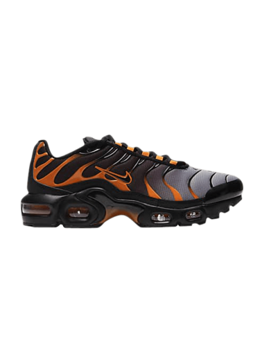 Air Max Plus GS 'Black Team Orange' DJ4619001 MBS