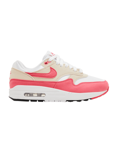 Nike Air Max 1 Aster Pink Women's DZ2628110 MBS