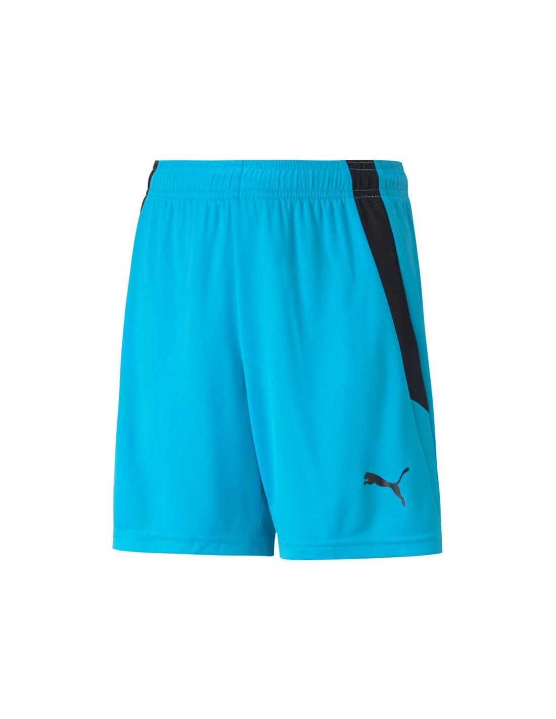 Puma teamLIGA Shorts Jr 704931 40