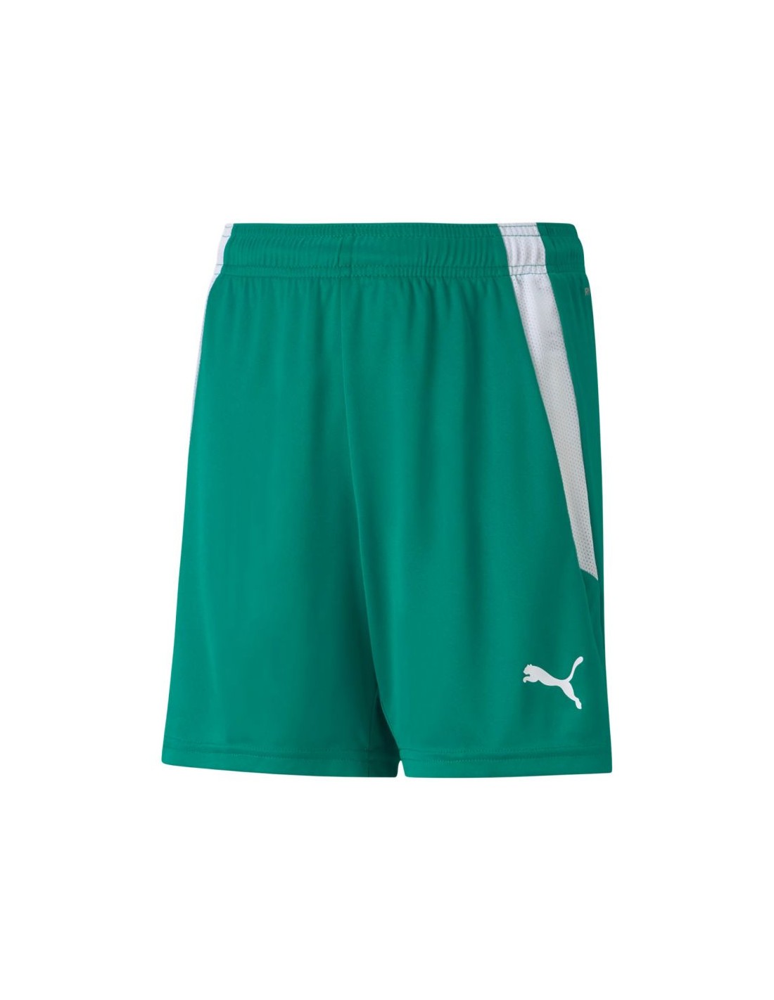 Puma teamLIGA Shorts Jr 704931 05