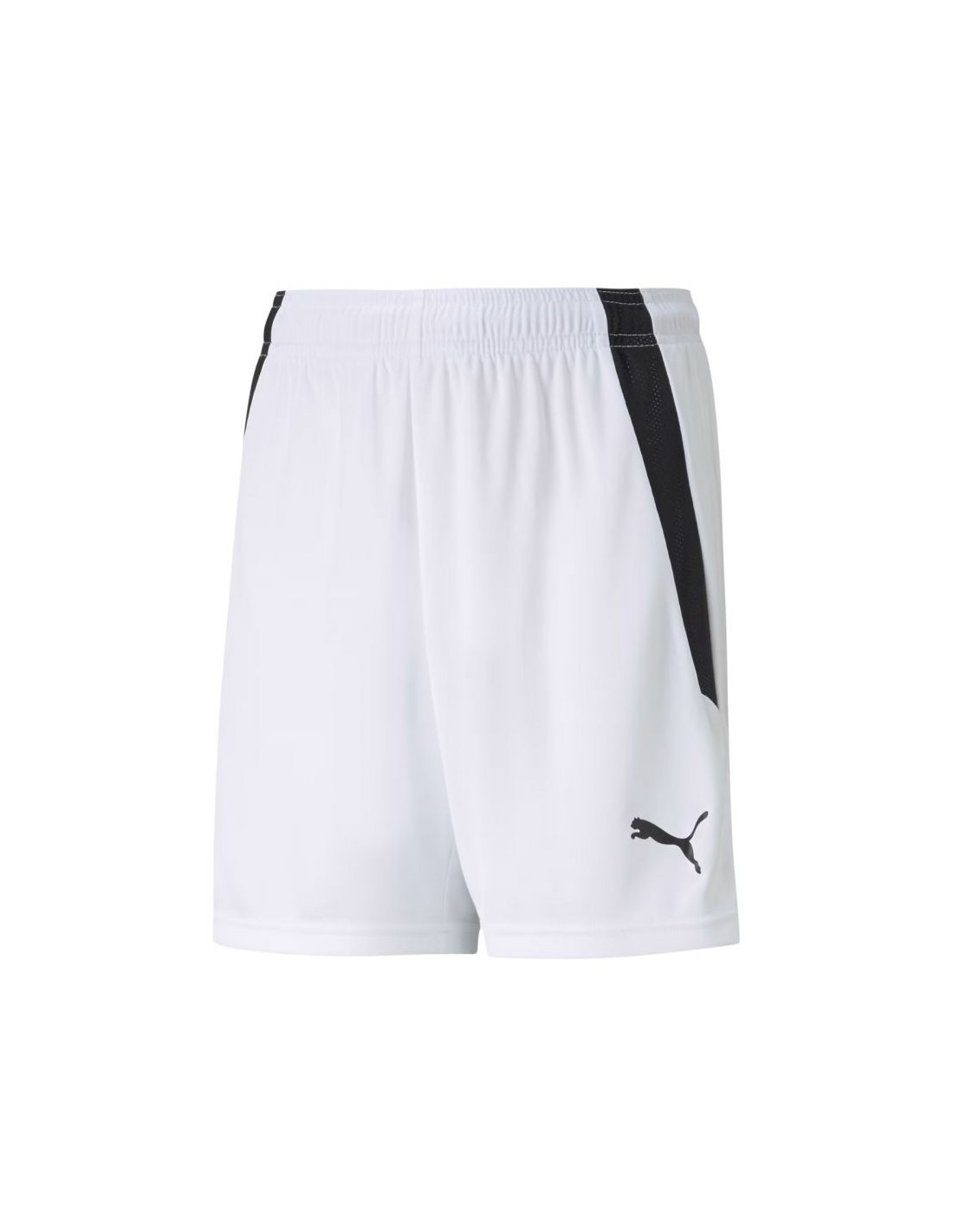 Puma teamLIGA Shorts Jr 704931 04
