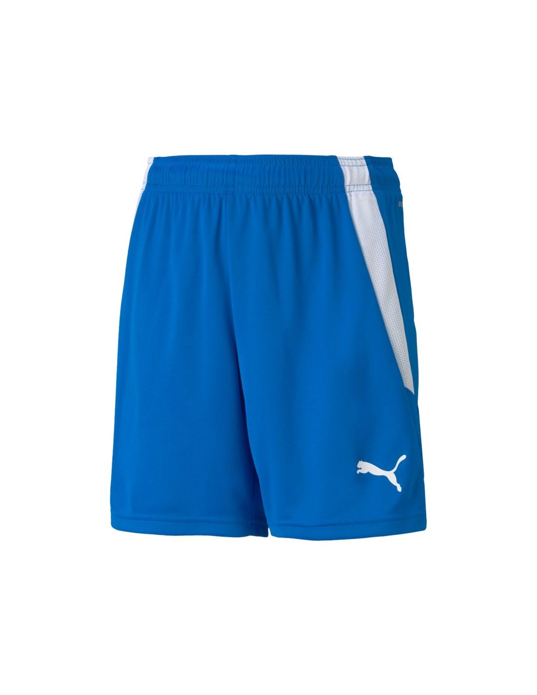 Puma teamLIGA Shorts Jr 704931 02